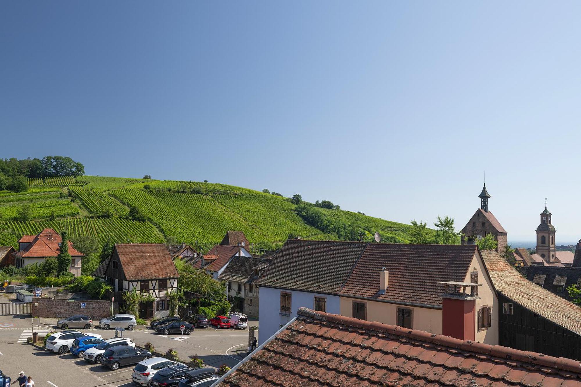 Riesling - Vue Imprenable Sur Le Vignoble - Renove Recemment - Parking Gratuit Apartamento Riquewihr Exterior foto