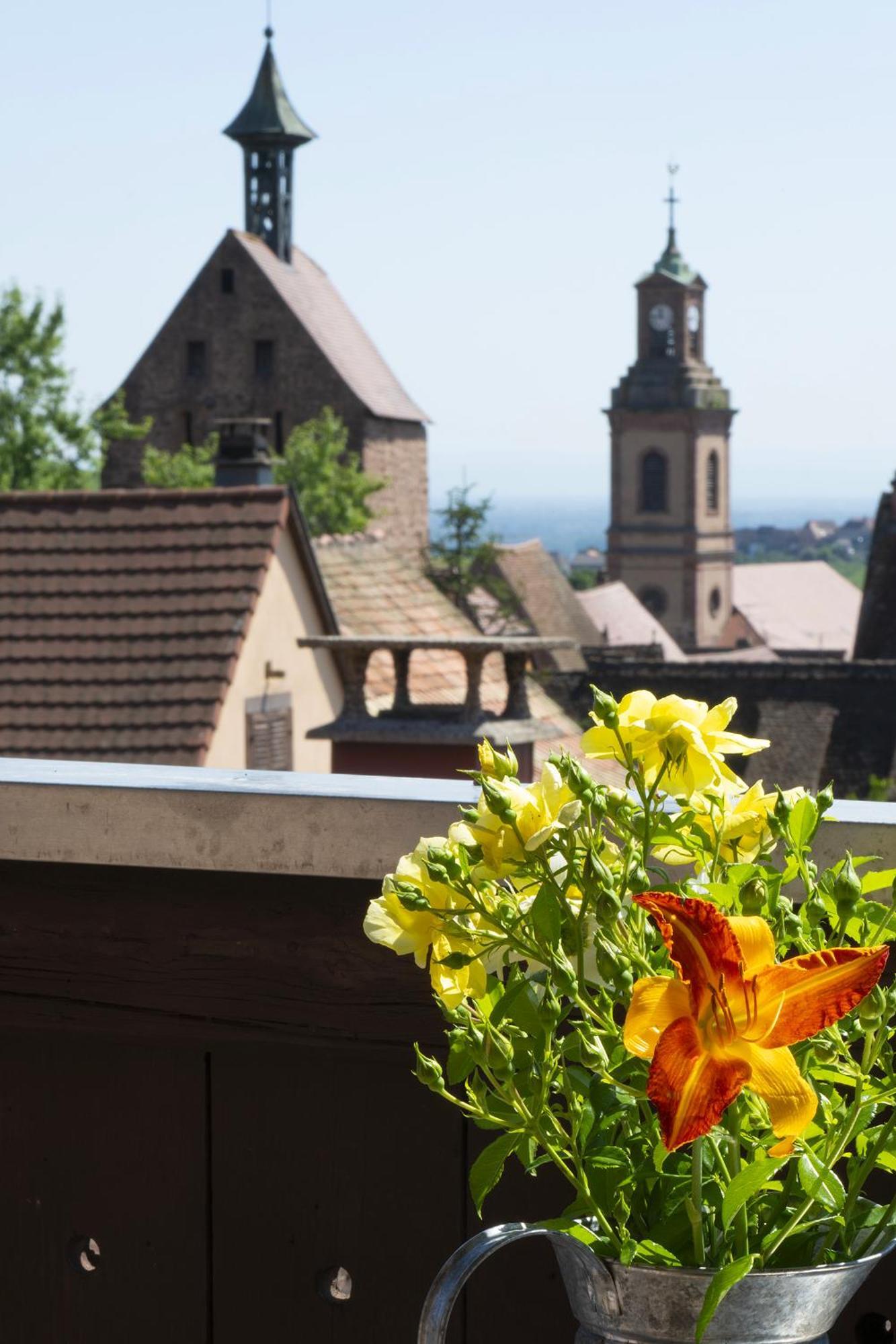 Riesling - Vue Imprenable Sur Le Vignoble - Renove Recemment - Parking Gratuit Apartamento Riquewihr Exterior foto